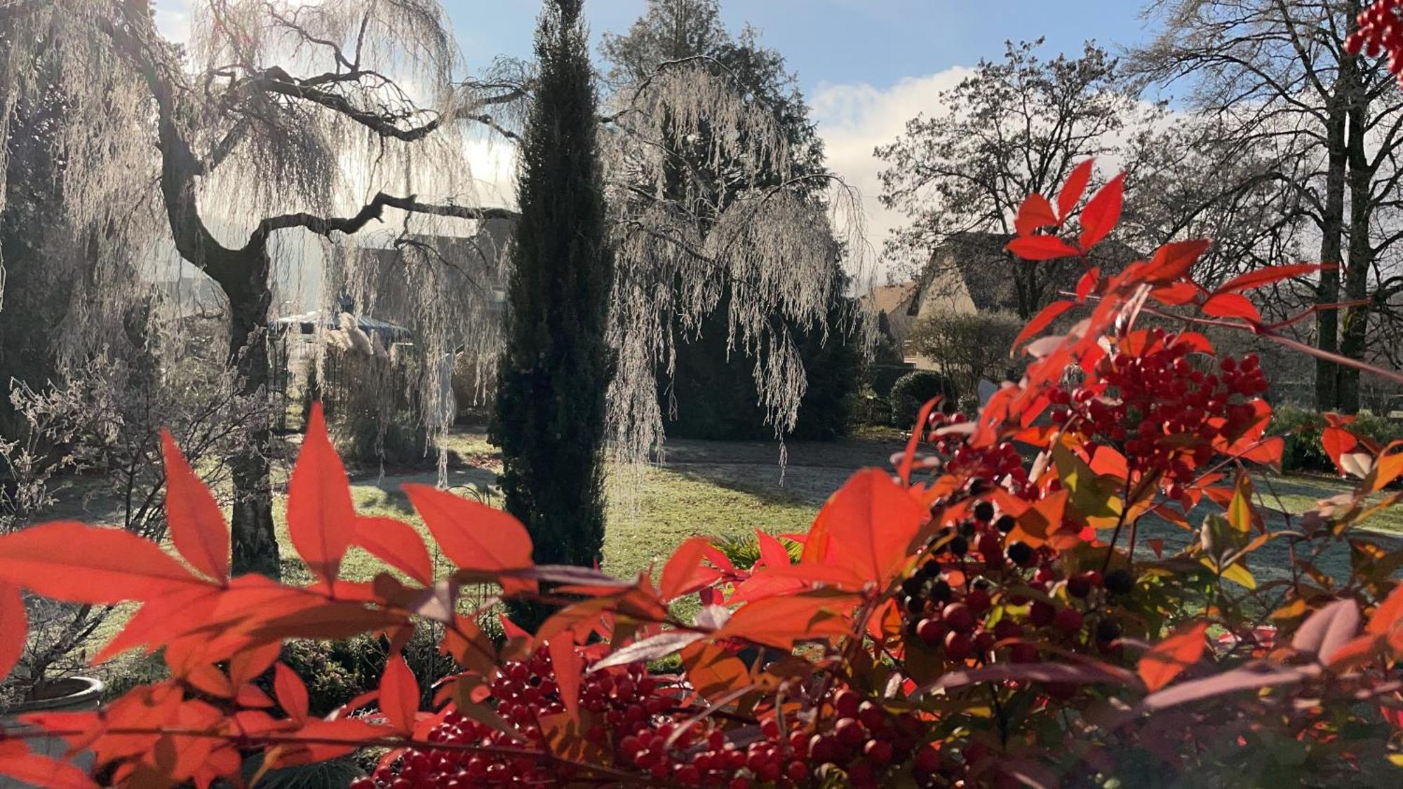 Au Temps Suspendu Bed & Breakfast Champagney Luaran gambar