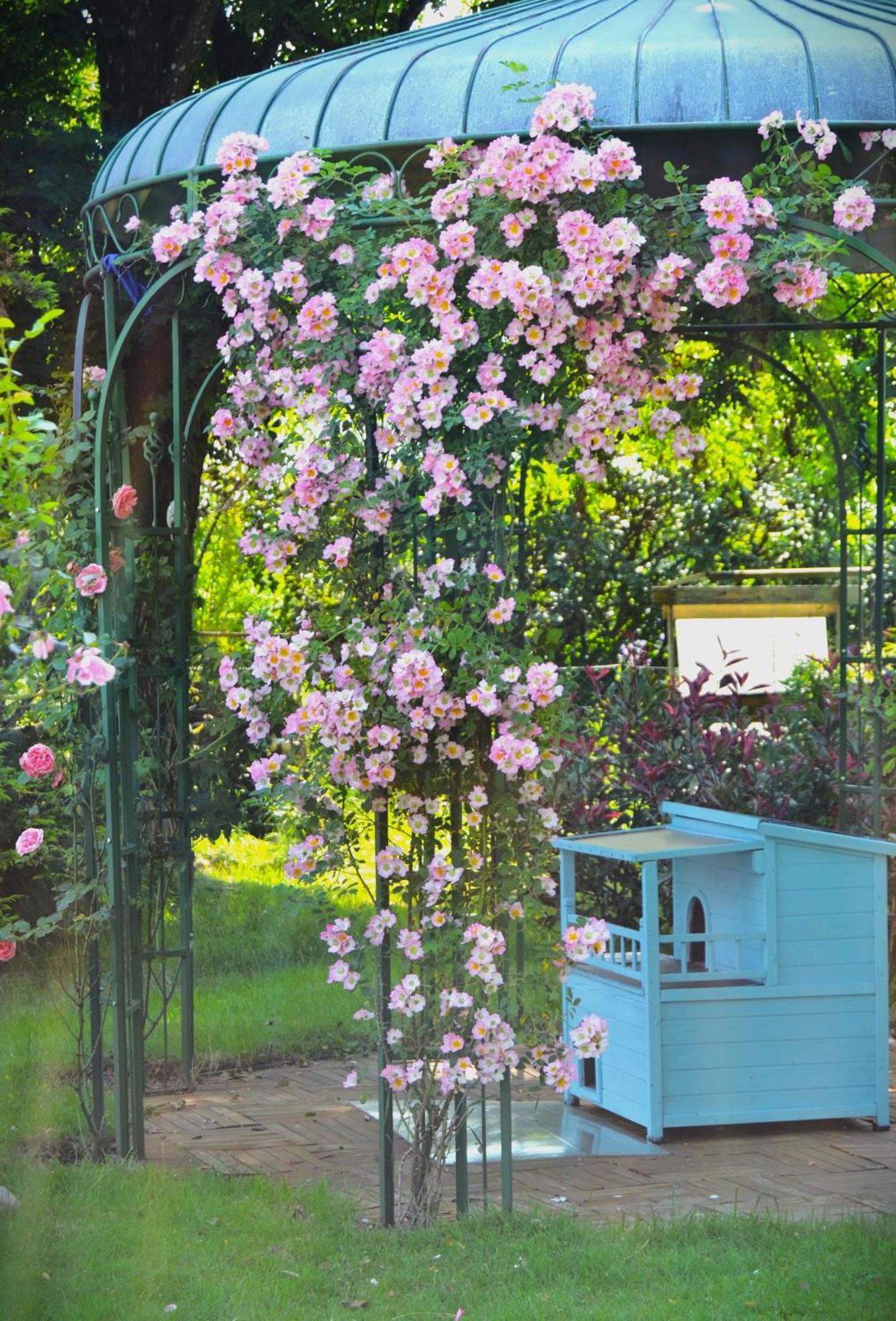Au Temps Suspendu Bed & Breakfast Champagney Luaran gambar
